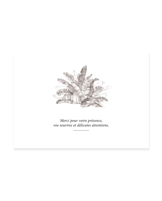Carte remerciement • Palmeraie – Image 3