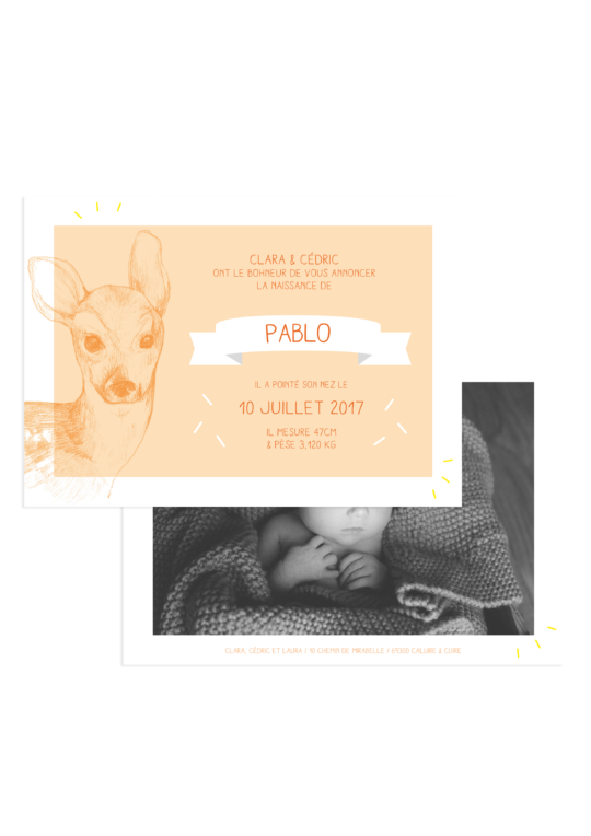 Faire Part Naissance • Little Doe – Image 4