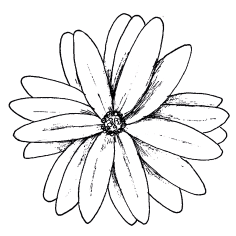 Tampon Marguerite