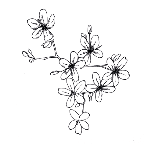 Tampon Petites Fleurs