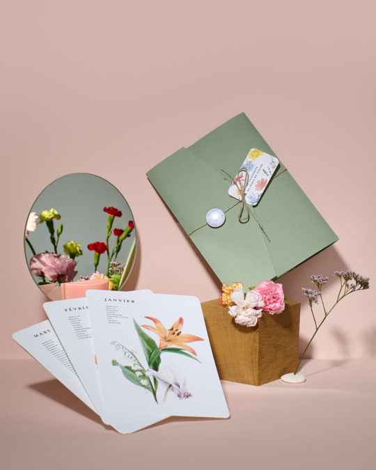 Le Calendrier de semis de Fleurs