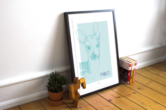 Affiche • Little Doe