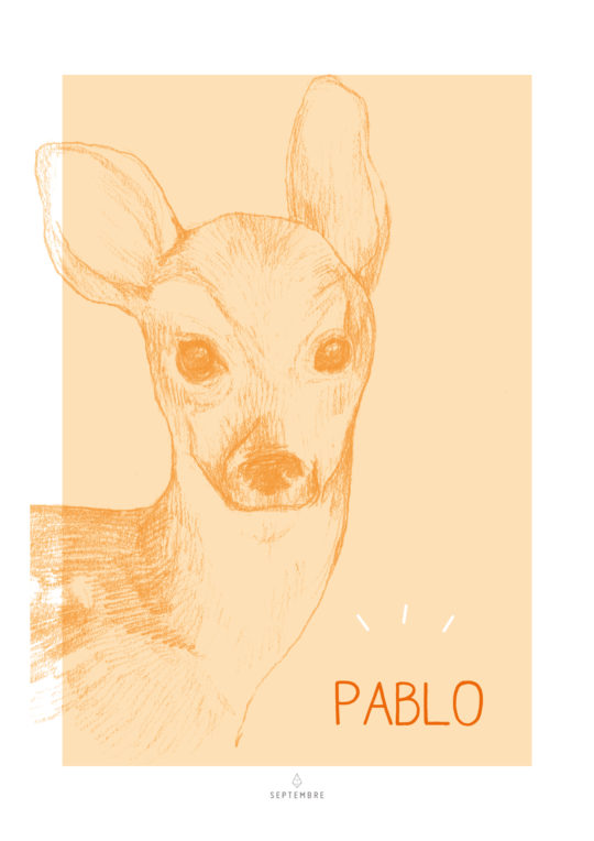 Affiche • Little Doe – Image 3