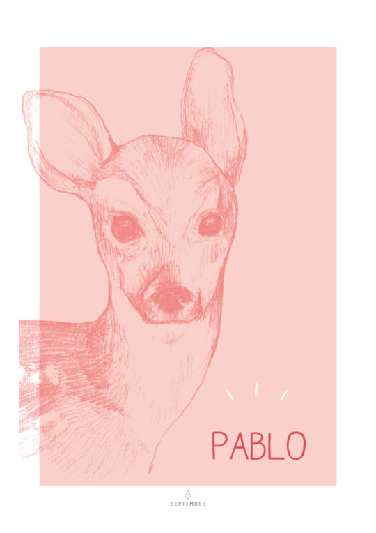 Affiche • Little Doe – Image 4