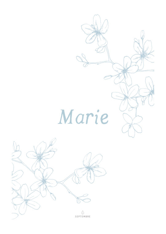 Affiche • Petites Fleurs – Image 4