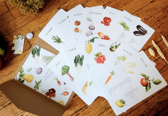 Les Guides illustrés