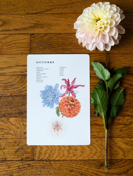 Le Calendrier de Floraison – Image 4