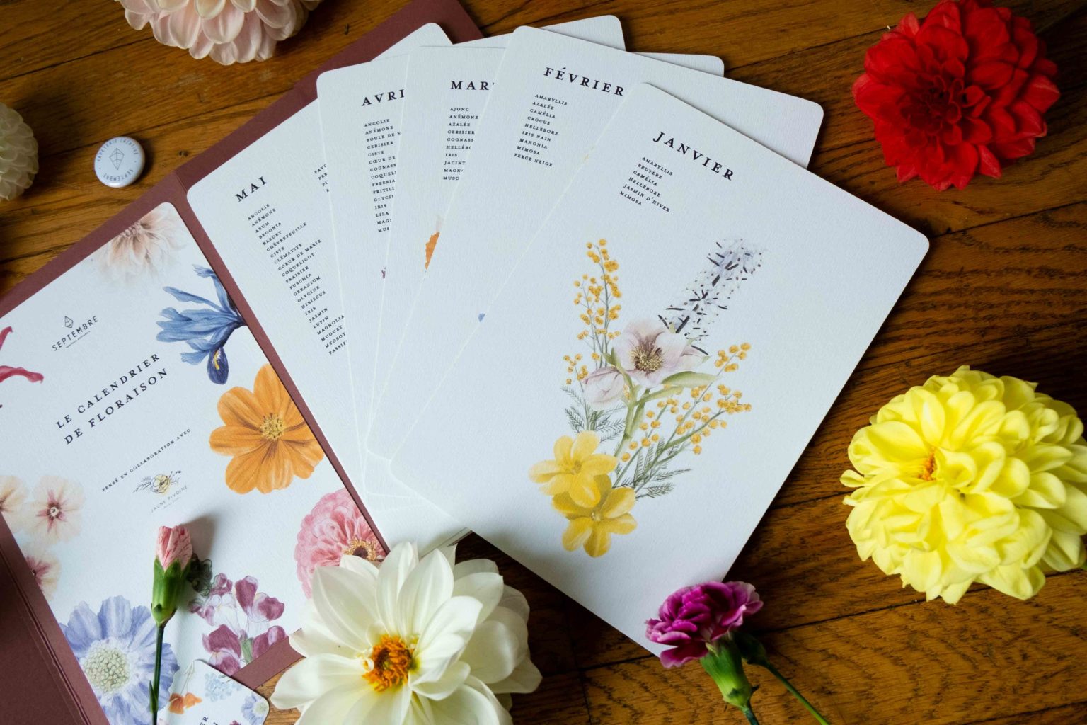 Calendrier de floraison, illustrations Septembre Papeterie Calendrier de floraison, illustrations Septembre Papeterie