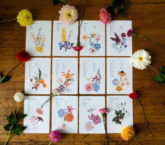 Le Calendrier de Floraison – Image 3