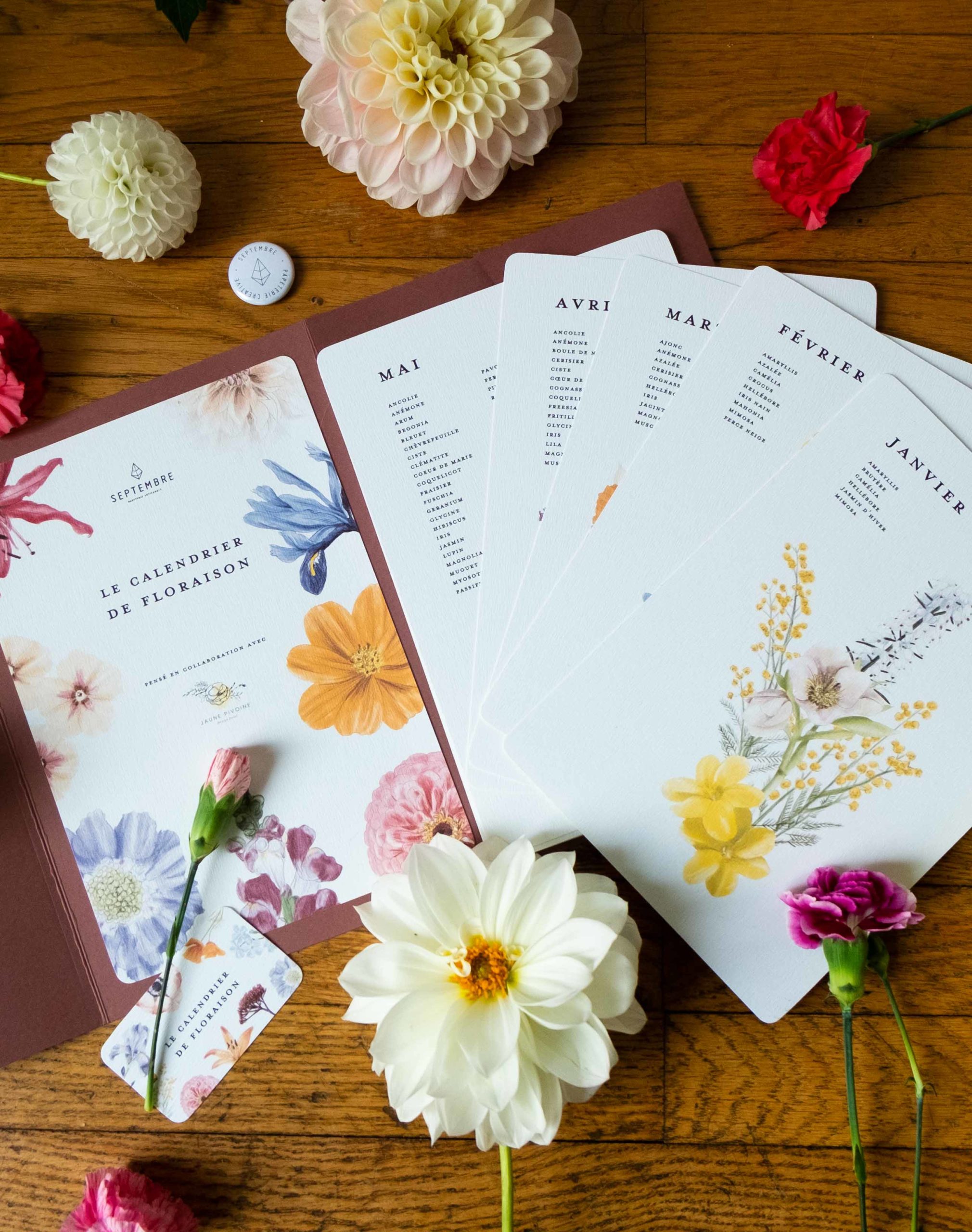 Calendrier de floraison, illustrations Septembre Papeterie Calendrier de floraison, illustrations Septembre Papeterie