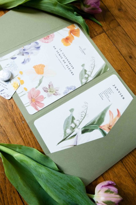 Le Calendrier de semis de Fleurs – Image 3