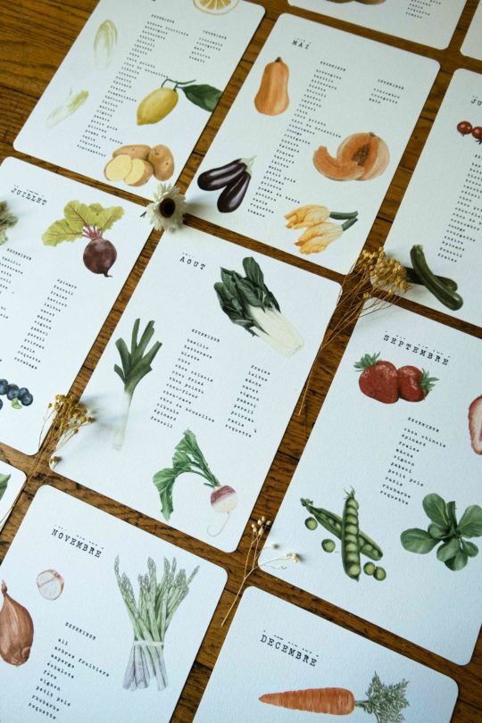 Le Calendrier de semis de Fruits & Légumes – Image 4