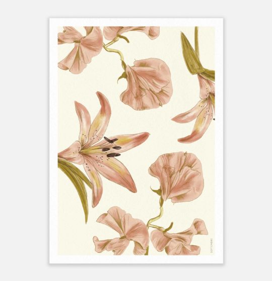 Carte & Affiche • Juin – Image 4