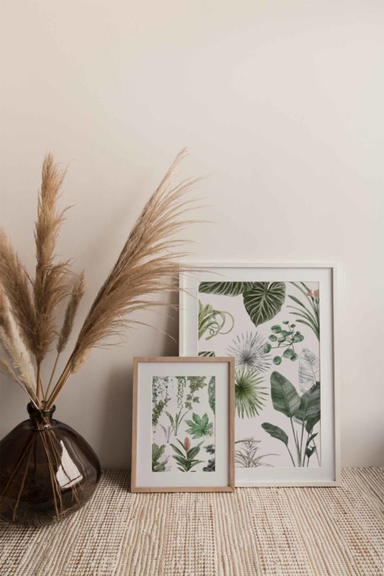 Carte & Affiche • Les Plantes II – Image 5