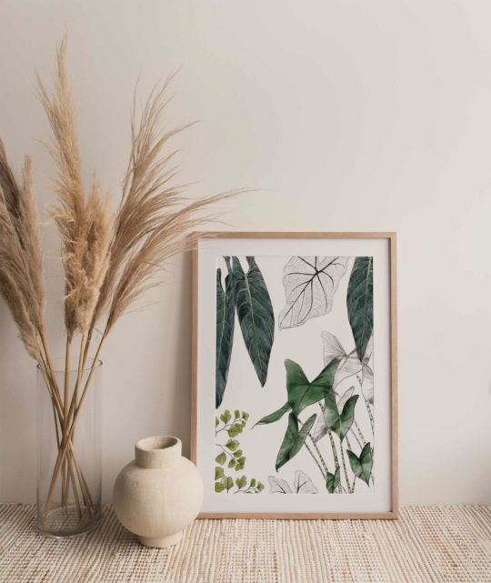 Carte & Affiche • Les Plantes I – Image 2