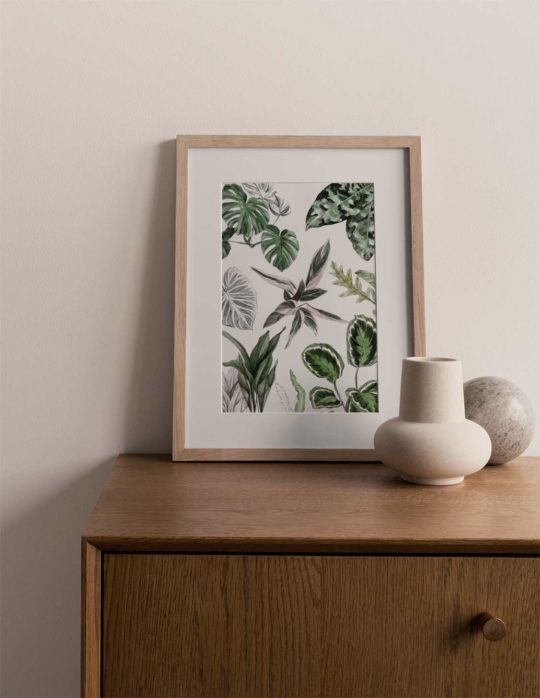 Carte & Affiche • Les Plantes II – Image 2