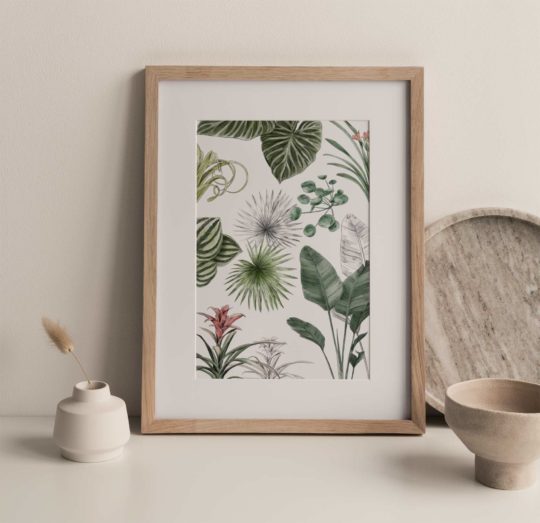 Carte & Affiche • Les Plantes III – Image 3