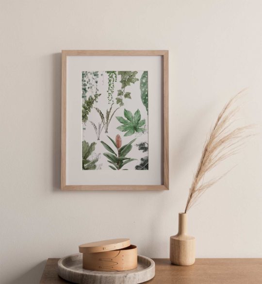 Carte & Affiche • Les Plantes VI – Image 2