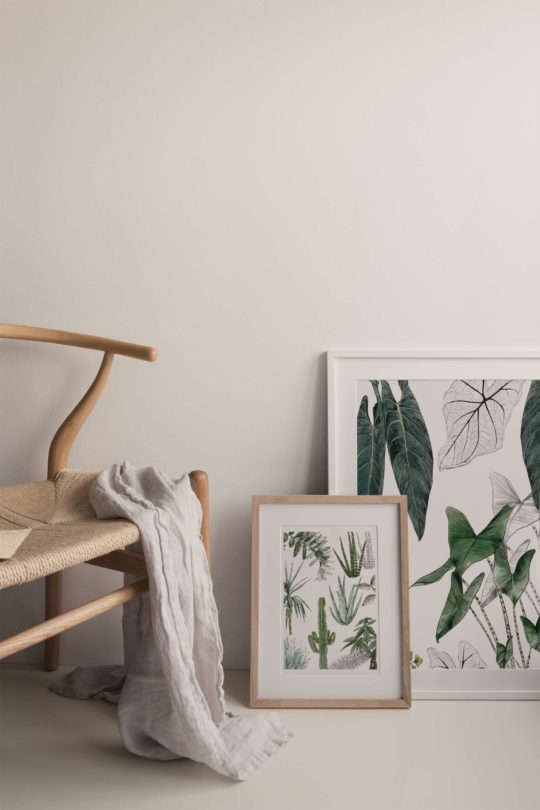 Carte & Affiche • Les Plantes I – Image 3