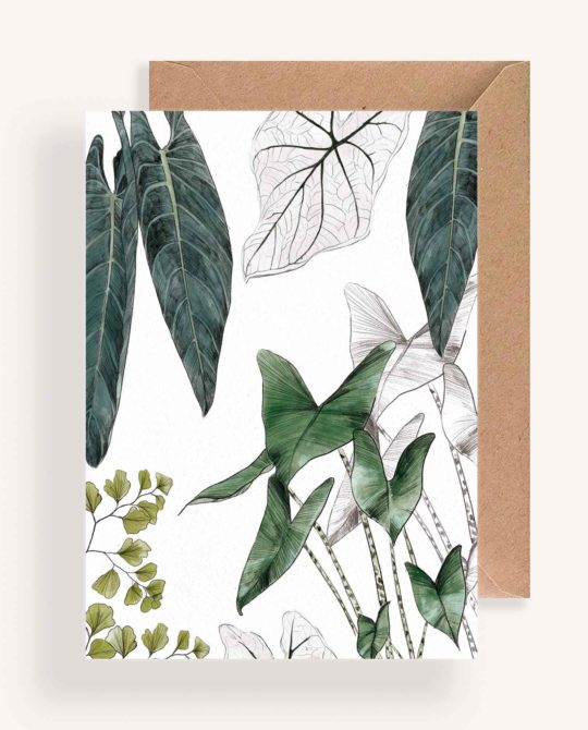 Carte & Affiche • Les Plantes I