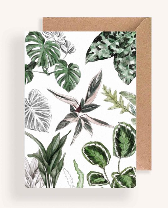 Carte & Affiche • Les Plantes II