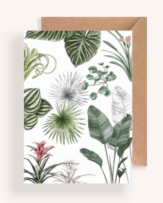Carte & Affiche • Les Plantes III