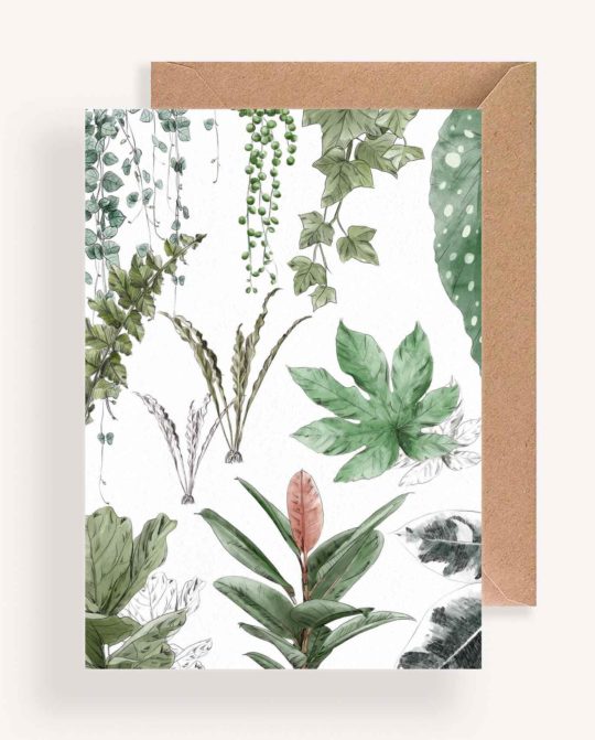 Carte & Affiche • Les Plantes VI