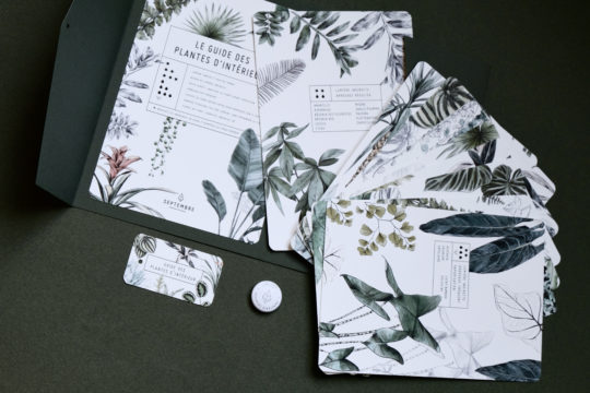 Le Guide des Plantes d'intérieur – Image 3