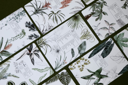 Le Guide des Plantes d'intérieur – Image 2