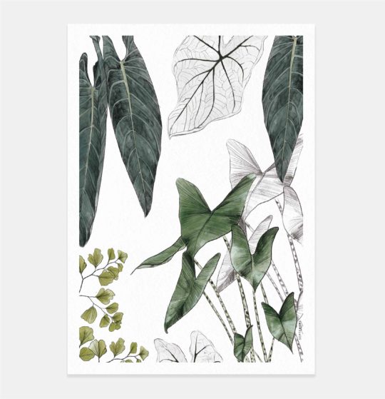 Carte & Affiche • Les Plantes I – Image 4