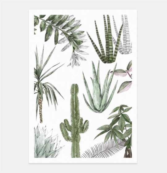 Carte & Affiche • Les Plantes V – Image 3