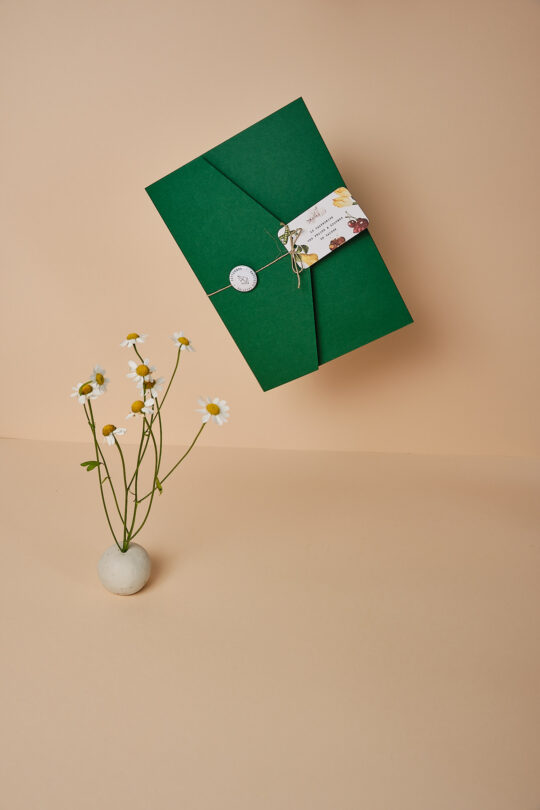 Les 4 Cartes Paniers Fruits & Légumes de saison – Image 3