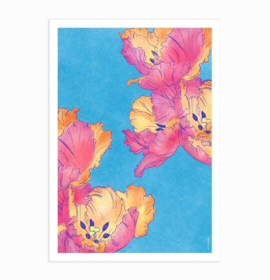 Carte & Affiche • Parrot – Image 5