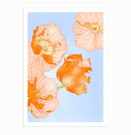 Carte & Affiche • Poppies – Image 4