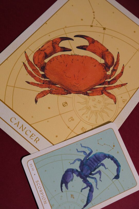 Carte & Affiche • Signes Astrologiques – Image 2